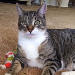 Meet your Posher, Samantha